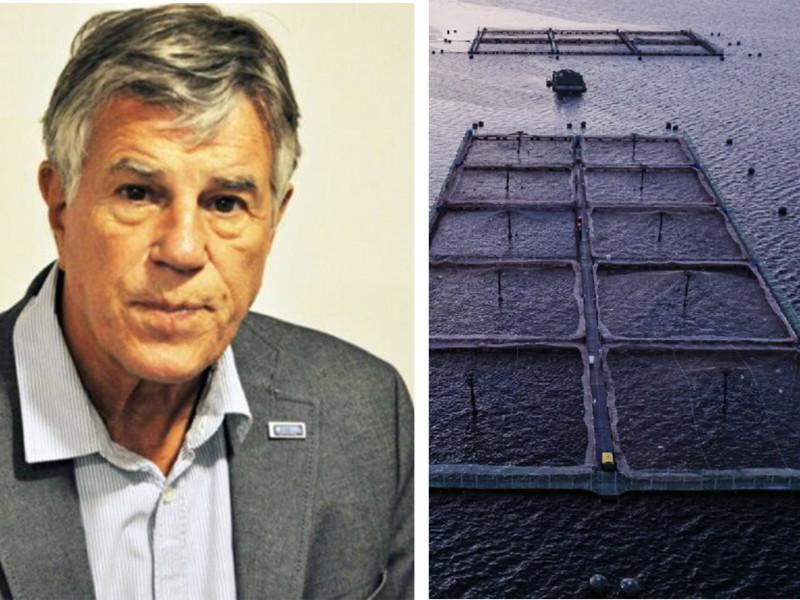 Acuicultura: "Se necesita producción y empleo”