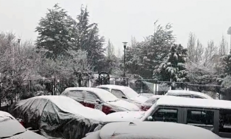 Alerta amarilla por nevadas en el sur de la provincia