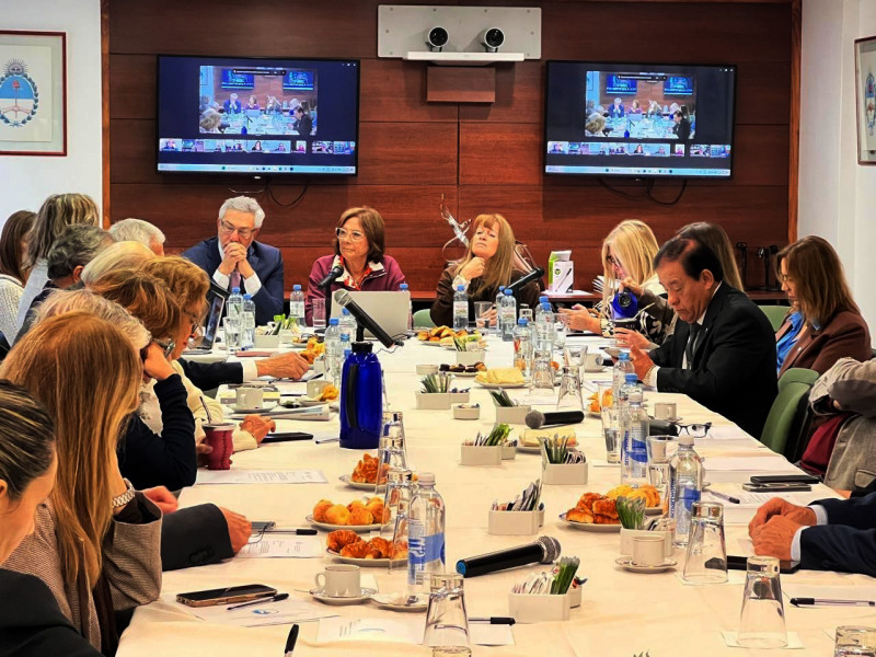 Battaini en reunión nacional de cortes provinciales