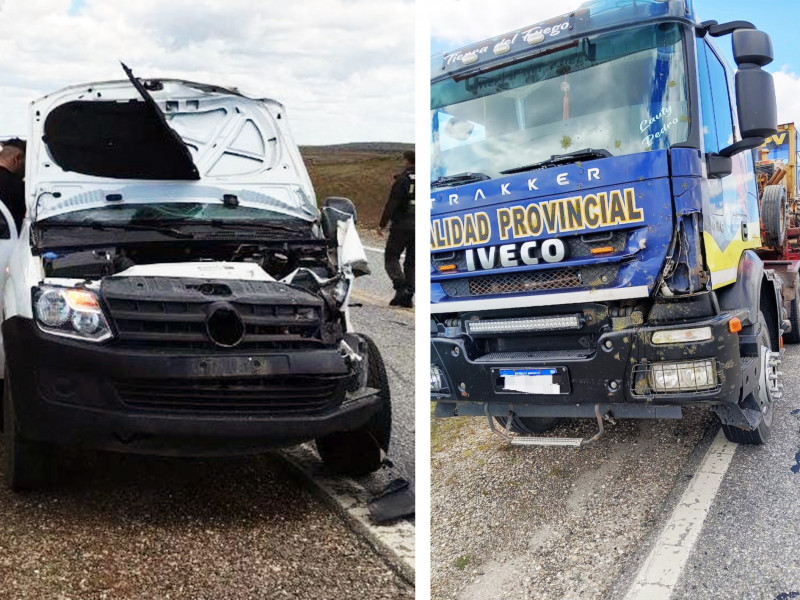 Camioneta y camión chocan contra un guanaco en la ruta