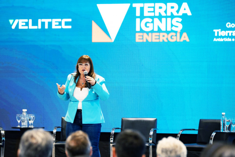 Castillo viaja a Canadá a un Foro Mundial de Energía