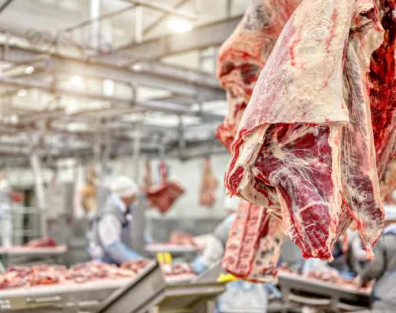 Chile frenó importación de carne desde la Patagonia