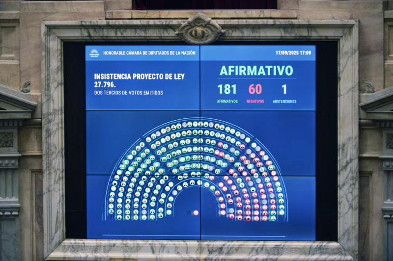 Contundente rechazo a los vetos de Milei en Diputados