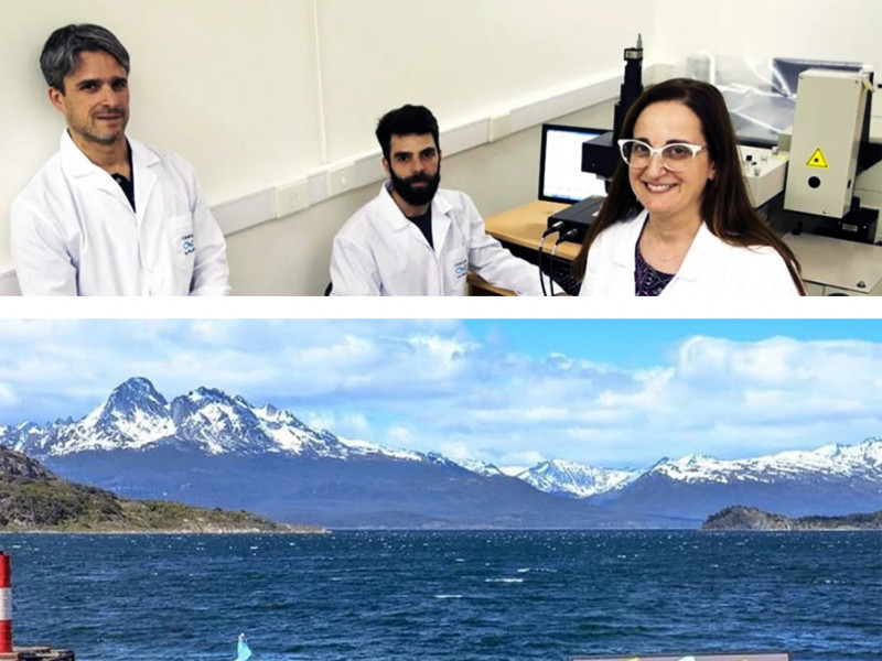 Detectan microplásticos en el aire del canal Beagle