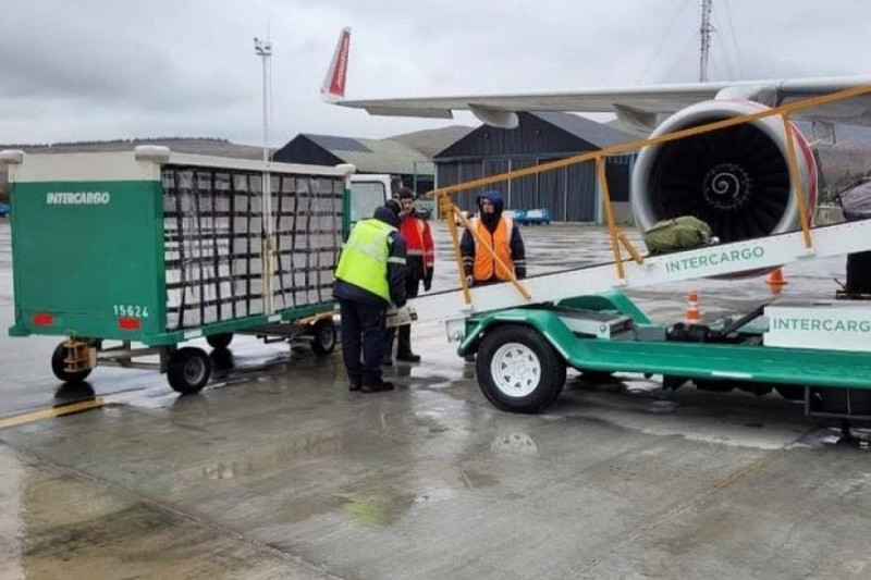 El Gobierno Nacional pone en venta Intercargo