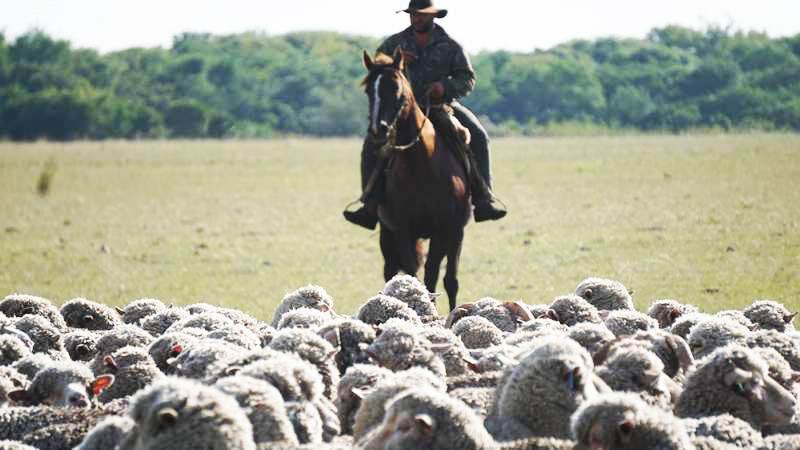 El Gobierno volvió a intervenir la obra social OSPRERA