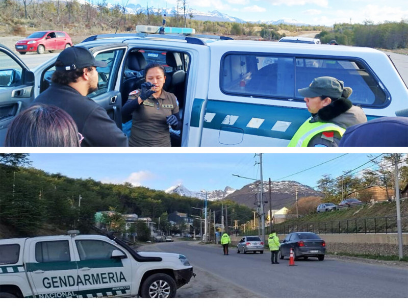 Gendarmería incauta hongos alucinógenos en la Ruta N° 3