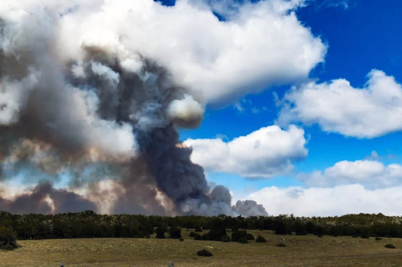 Incendio forestal en la zona del paso fronterizo Radman