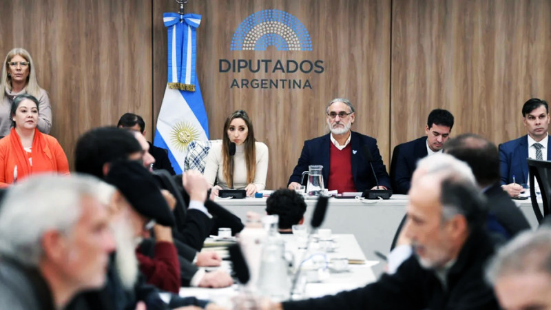 La UIA y CAME expusieron en Diputados sobre su situación