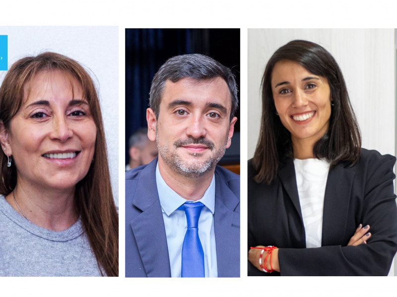 Los nuevos senadores jurarán el 28 de noviembre