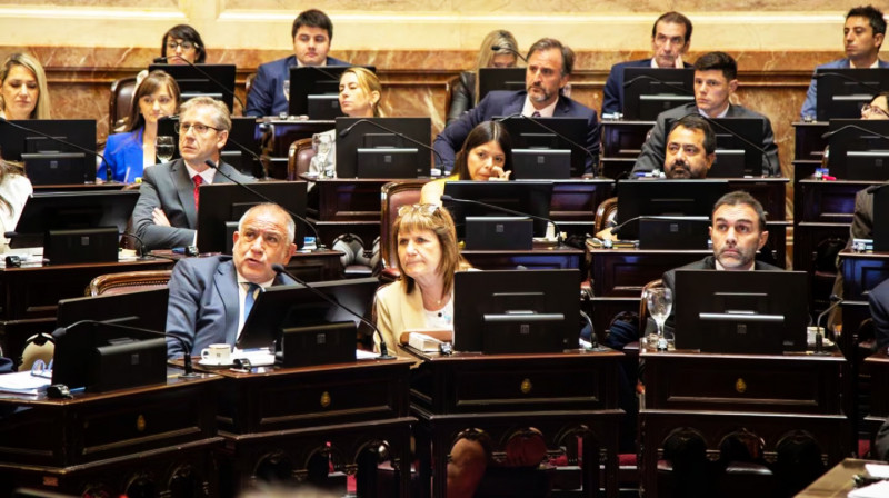 No logran votos en el Senado para eliminar las PASO