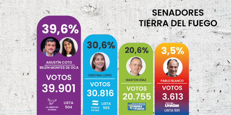 Resultados finales de la elección a Senadores en TDF