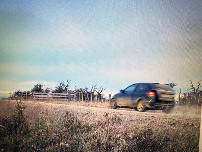 Robaron una vaca Hereford en el baúl de un Ford K