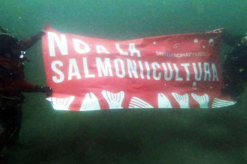 Salmoneras serían aprobadas en la sesión de este jueves