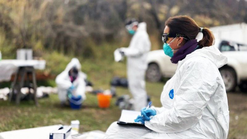 Se descarta hantavirus originado en Tierra del Fuego