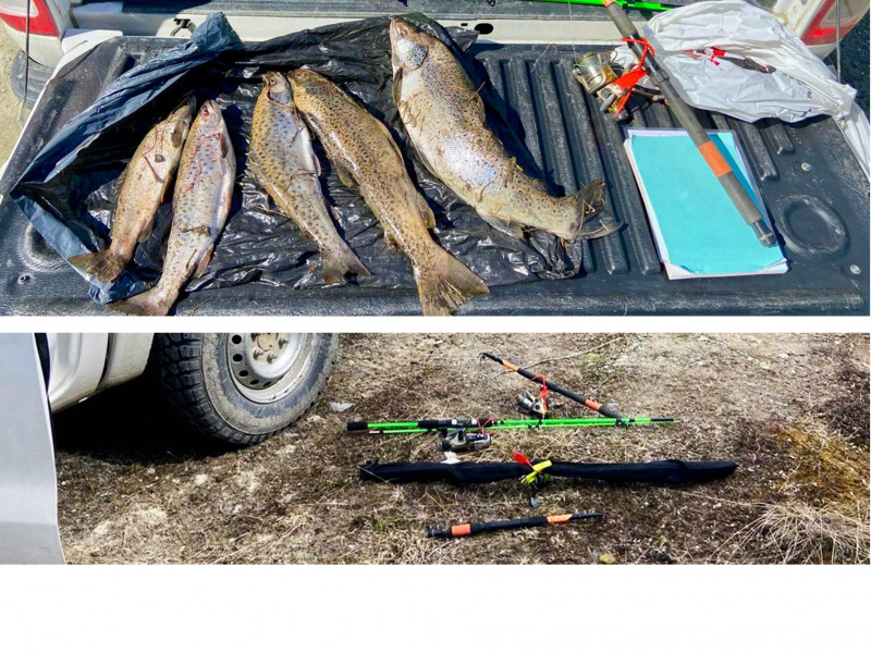 Se detectó pesca ilegal de truchas en el río Milna