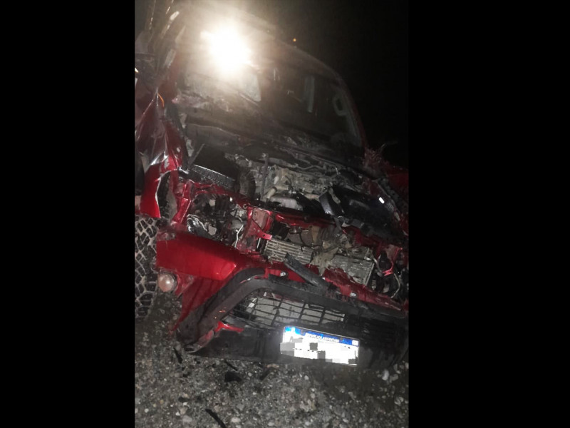 Una camioneta embistió a un vacuno en la ruta N° 3