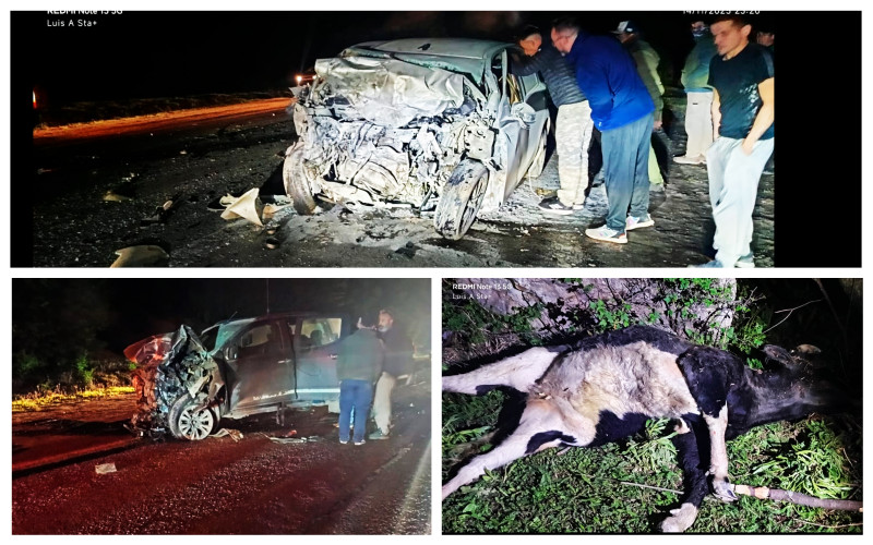 Una mujer murió tras un choque por animales sueltos