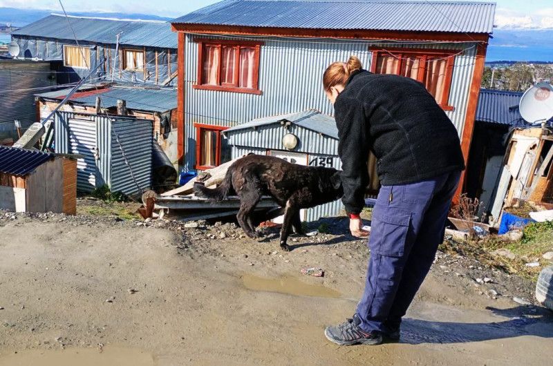 Zoonosis realizó operativo en el barrio El Escondido